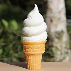 白樺ミルク(コーン/カップ)