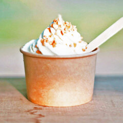 千葉牧場のソルティナッツバニラ